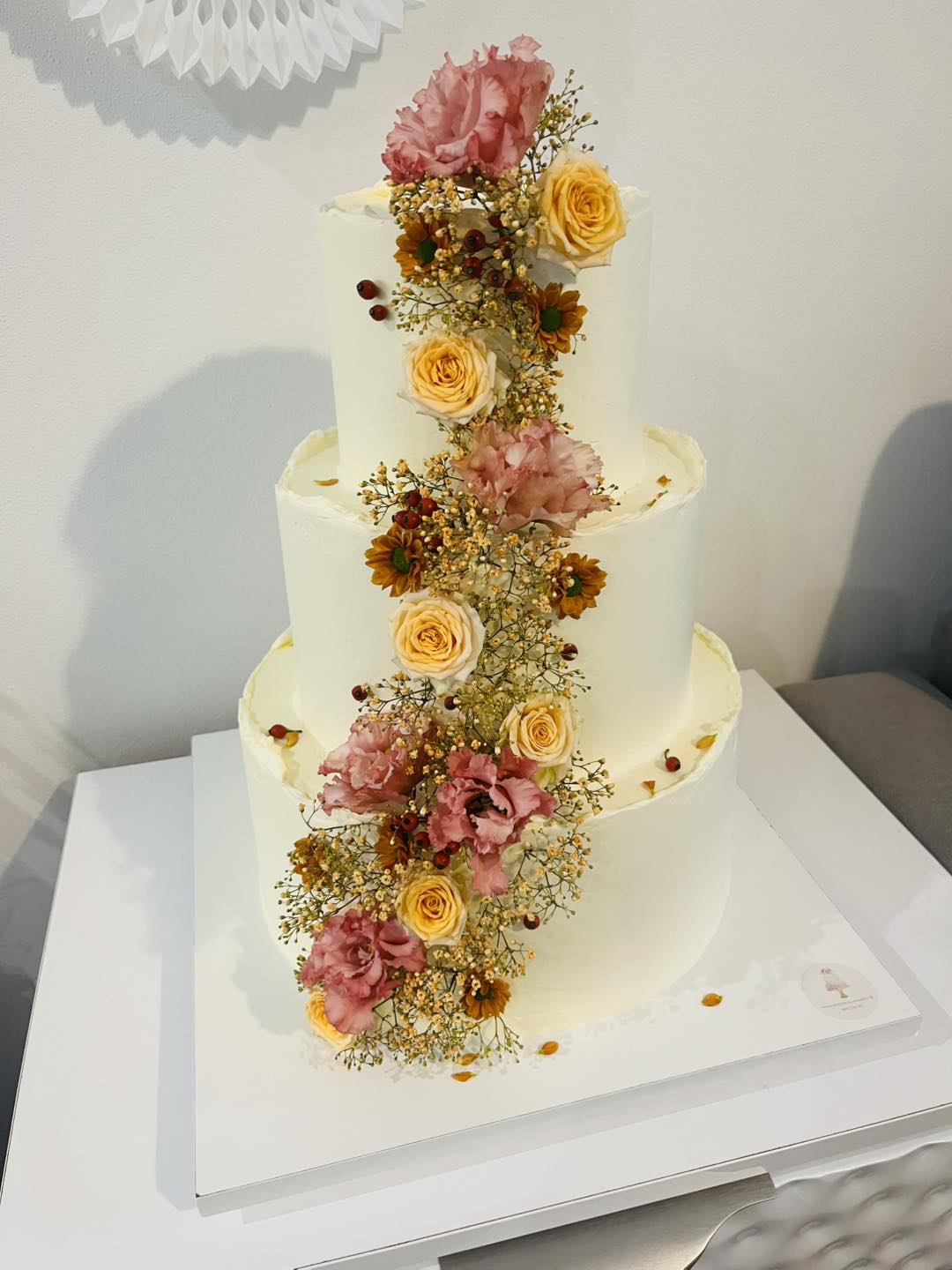 571813605_1290067326498219_6384062651054233139_n